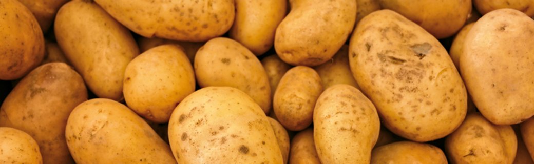 Brunch concert with potatoes