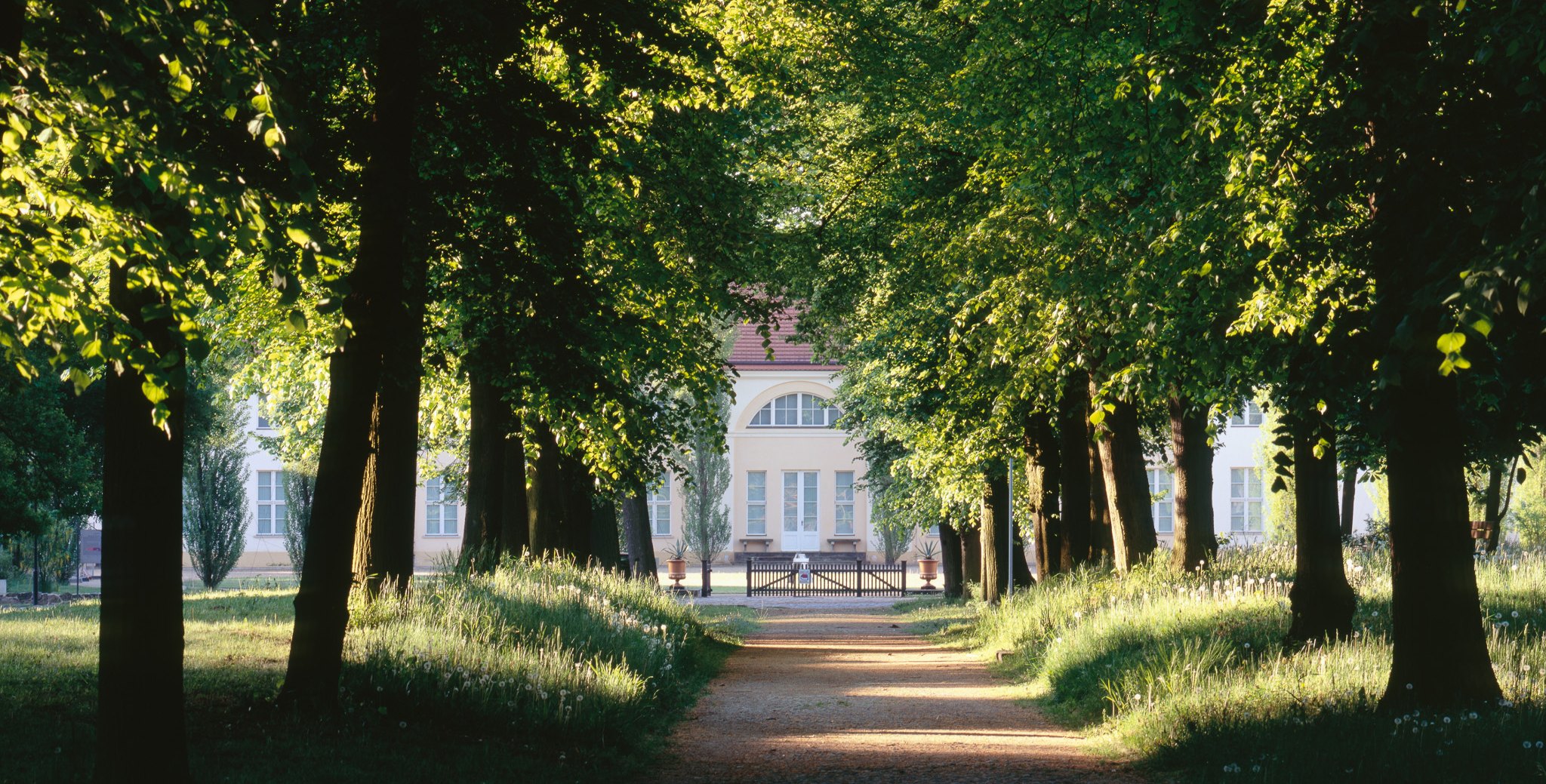Schloss Paretz, Blick Lindenalle